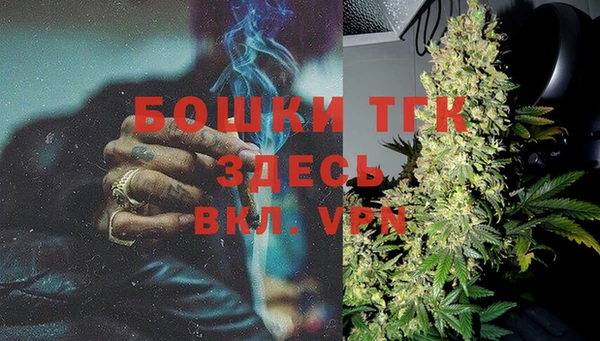 2c-b Горно-Алтайск