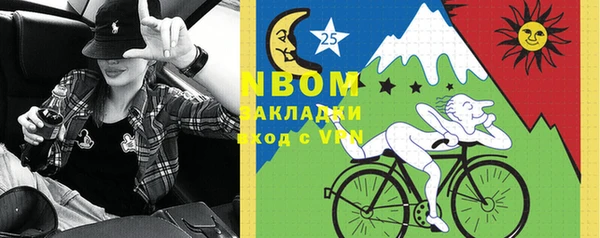 2c-b Горно-Алтайск