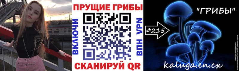 Псилоцибиновые грибы ЛСД  Купить закладки  Камышлов 